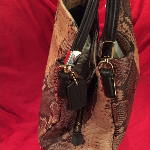 Coach Phoebe Natural Exotic Python Snake Print Leather -NWT - Picture 4 of 6